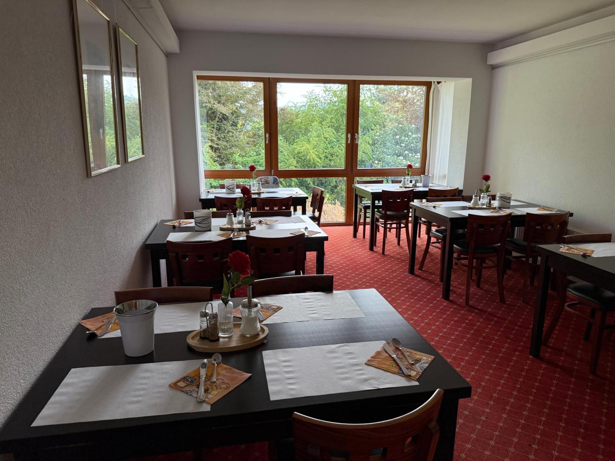 Hotel Schweizerblick บัดแซคคิงเงน ภายนอก รูปภาพ